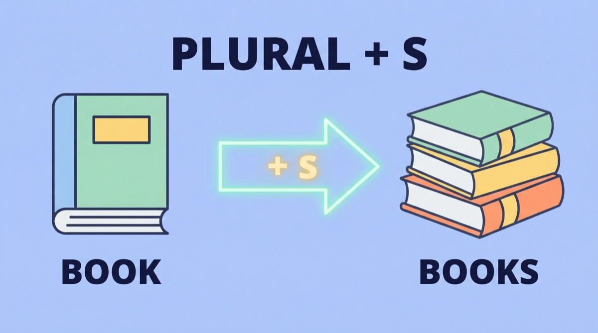Ilustração vetorial educativa mostrando a transformação de um objeto singular para plural com a adição da letra S.